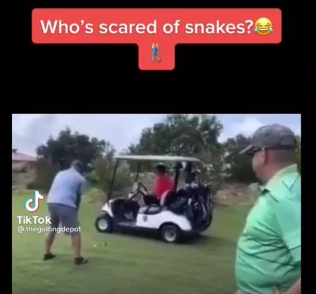 snake prank